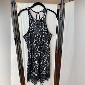 Express lace fitted dress. Perfect for weddings!